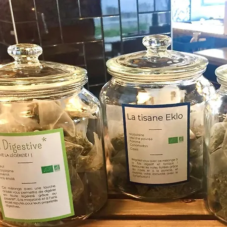 Eklo Centre Gare מלון *